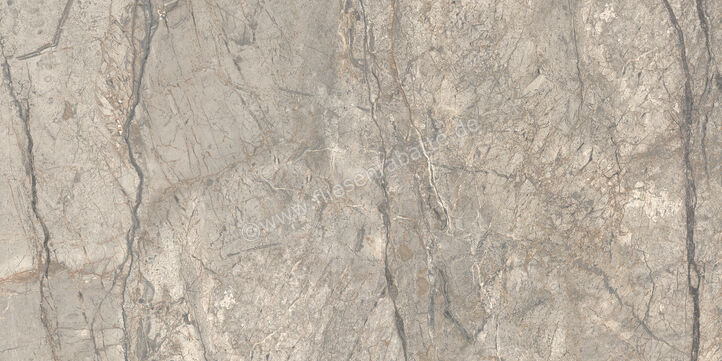  Ceramiche Caesar Marble Inspiration Anima Futura Amazing Silver 60x120 cm Bodenfliese / Wandfliese 3D Haptik Matt Eben Touch Plus AIAV CAE | 475784