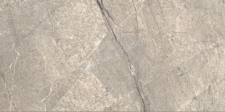  Ceramiche Caesar Marble Inspiration Anima Futura Amazing Silver 60x120 cm Bodenfliese / Wandfliese 3D Haptik Matt Eben Touch Plus AIAV CAE | 475787