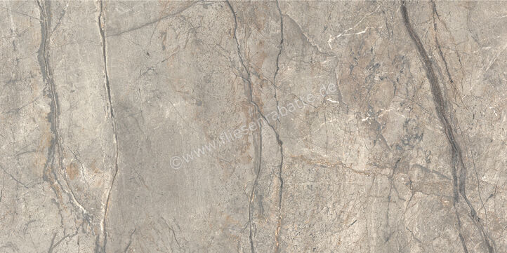  Ceramiche Caesar Marble Inspiration Anima Futura Amazing Silver 60x120 cm Bodenfliese / Wandfliese 3D Haptik Matt Eben Touch Plus AIAV CAE | 475790