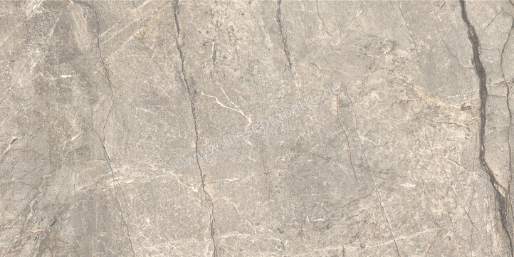  Ceramiche Caesar Marble Inspiration Anima Futura Amazing Silver 60x120 cm Bodenfliese / Wandfliese 3D Haptik Matt Eben Touch Plus AIAV CAE | 475793