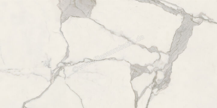  Ceramiche Caesar Marble Inspiration Anima Futura Majestic White 60x120 cm Bodenfliese / Wandfliese 3D Haptik Matt Eben Touch Plus AIAU CAE | 475796