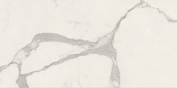 Ceramiche Caesar Marble Inspiration Anima Futura Majestic White 60x120 cm Bodenfliese / Wandfliese 3D Haptik Matt Eben Touch Plus AIAU CAE | 475802