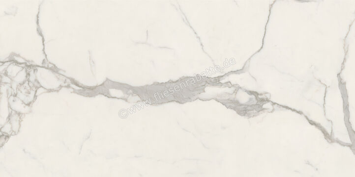  Ceramiche Caesar Marble Inspiration Anima Futura Majestic White 60x120 cm Bodenfliese / Wandfliese 3D Haptik Matt Eben Touch Plus AIAU CAE | 475811