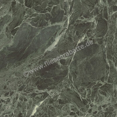  Ceramiche Caesar Marble Inspiration Anima Wonder Forest 120x120 cm Bodenfliese / Wandfliese Glänzend Eben Lucidato AHBH CAE | 475832