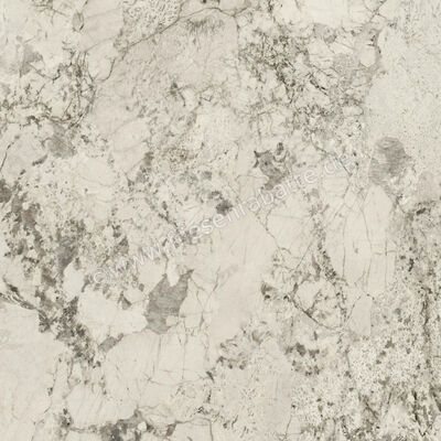  Ceramiche Caesar Marble Inspiration Anima Wonder Glacier 120x120 cm Bodenfliese / Wandfliese Glänzend Eben Lucidato AHBG CAE | 476309