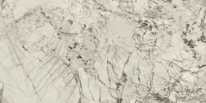  Ceramiche Caesar Marble Inspiration Anima Wonder Glacier 60x120 cm Bodenfliese / Wandfliese Glänzend Eben Lucidato AHBK CAE | 476549