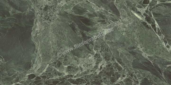  Ceramiche Caesar Marble Inspiration Anima Wonder Forest 60x120 cm Bodenfliese / Wandfliese Glänzend Eben Lucidato AHBL CAE | 476585