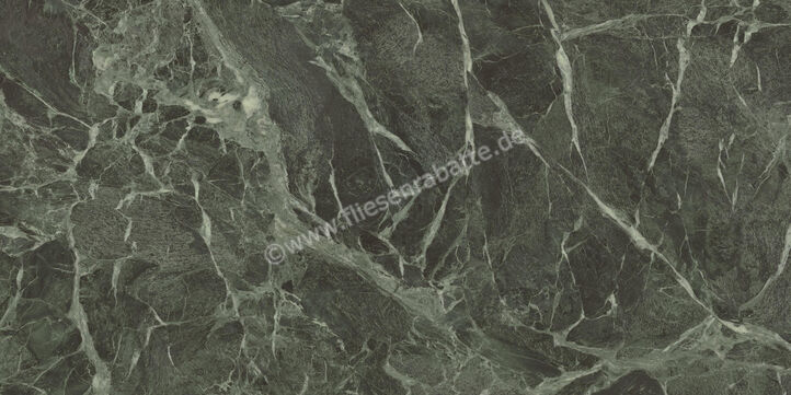  Ceramiche Caesar Marble Inspiration Anima Wonder Forest 60x120 cm Bodenfliese / Wandfliese Glänzend Eben Lucidato AHBL CAE | 476591