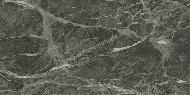  Ceramiche Caesar Marble Inspiration Anima Wonder Forest 60x120 cm Bodenfliese / Wandfliese Glänzend Eben Lucidato AHBL CAE | 476594