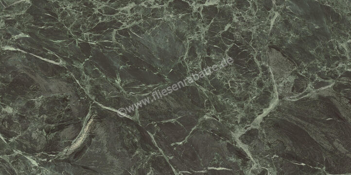  Ceramiche Caesar Marble Inspiration Anima Wonder Forest 60x120 cm Bodenfliese / Wandfliese Glänzend Eben Lucidato AHBL CAE | 476597