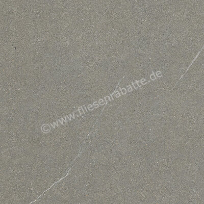 Ceramiche Caesar Shapes of Italy Iulia 60x60 cm Bodenfliese / Wandfliese Matt Eben Naturale AFMT CAE | 480602