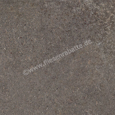 Ceramiche Caesar Shapes of Italy Lavis 60x60 cm Bodenfliese / Wandfliese Matt Eben Naturale AFMU CAE | 480764