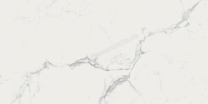 Ragno Imperiale Statuarietto 58x116 cm Bodenfliese / Wandfliese Glänzend Eben Glossy R72G | 483017