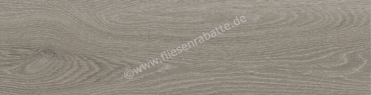 Ragno Key Grey 15.5x60 cm Bodenfliese / Wandfliese Matt Eben Naturale RA3Q | 485828