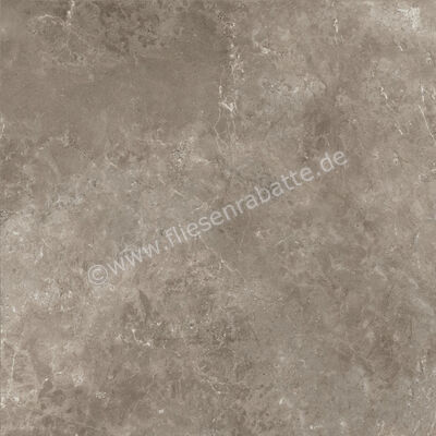 Ariostea Twin.s Dove 100x100 cm Bodenfliese / Wandfliese Matt Strukturiert Soft P100698 | 487307
