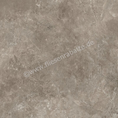 Ariostea Twin.s Dove 100x100 cm Bodenfliese / Wandfliese Matt Strukturiert Soft P100698 | 487310