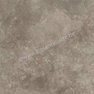 Ariostea Twin.s Dove 100x100 cm Bodenfliese / Wandfliese Matt Strukturiert Soft P100698 | 487313