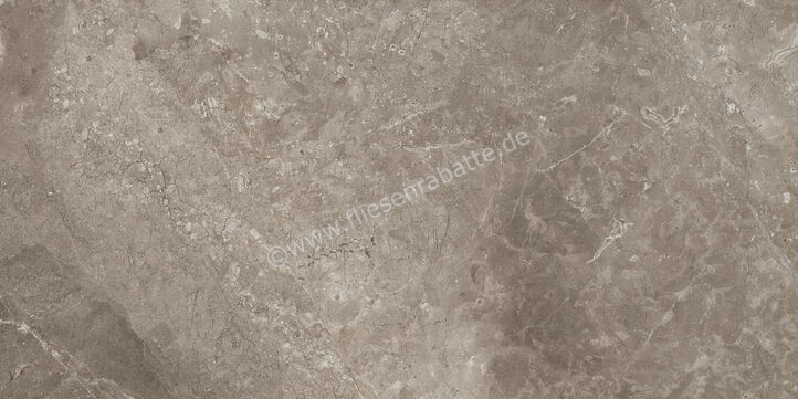 Ariostea Twin.s Dove 60x120 cm Bodenfliese / Wandfliese Matt Strukturiert Naturale P612698R10 | 487571