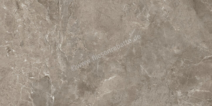 Ariostea Twin.s Dove 60x120 cm Bodenfliese / Wandfliese Matt Strukturiert Naturale P612698R10 | 487574
