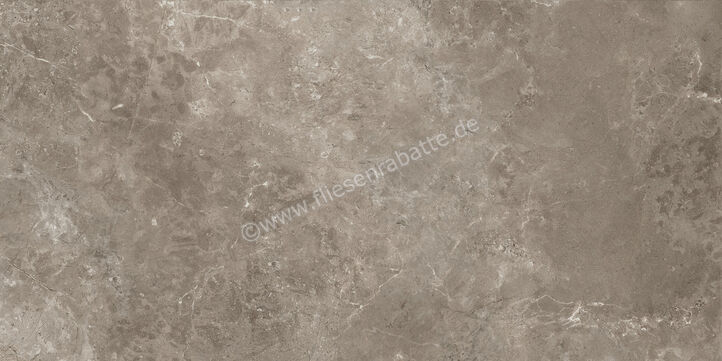 Ariostea Twin.s Dove 60x120 cm Bodenfliese / Wandfliese Matt Strukturiert Soft P612698 | 487577