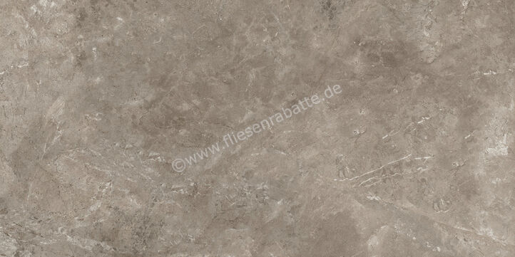 Ariostea Twin.s Dove 60x120 cm Bodenfliese / Wandfliese Matt Strukturiert Naturale P612698R10 | 487580