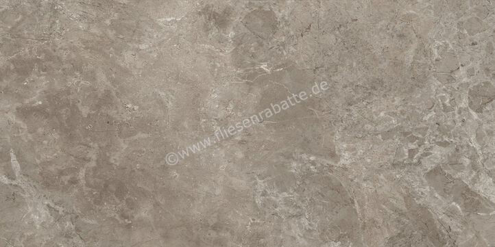 Ariostea Twin.s Dove 60x120 cm Bodenfliese / Wandfliese Matt Strukturiert Naturale P612698R10 | 487583