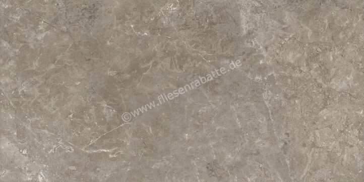 Ariostea Twin.s Dove 60x120 cm Bodenfliese / Wandfliese Matt Strukturiert Naturale P612698R10 | 487586