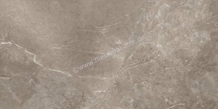 Ariostea Twin.s Dove 60x120 cm Bodenfliese / Wandfliese Matt Strukturiert Naturale P612698R10 | 487589
