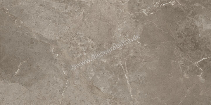 Ariostea Twin.s Dove 60x120 cm Bodenfliese / Wandfliese Matt Strukturiert Naturale P612698R10 | 487592