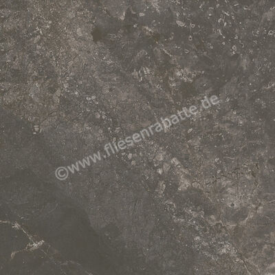 Ariostea Twin.s Licorice 60x60 cm Bodenfliese / Wandfliese Matt Strukturiert Soft P6696 | 487691