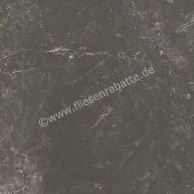 Ariostea Twin.s Licorice 60x60 cm Bodenfliese / Wandfliese Matt Strukturiert Soft P6696 | 487694