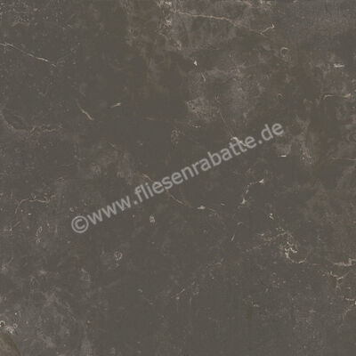Ariostea Twin.s Licorice 60x60 cm Bodenfliese / Wandfliese Matt Strukturiert Soft P6696 | 487703