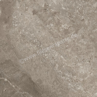 Ariostea Twin.s Dove 60x60 cm Bodenfliese / Wandfliese Matt Strukturiert Soft P6698 | 487787