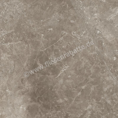 Ariostea Twin.s Dove 60x60 cm Bodenfliese / Wandfliese Matt Strukturiert Naturale P6698R10 | 487790