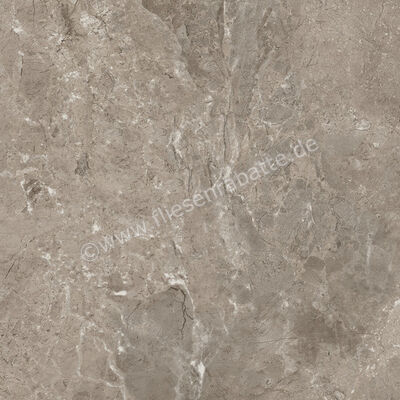 Ariostea Twin.s Dove 60x60 cm Bodenfliese / Wandfliese Matt Strukturiert Naturale P6698R10 | 487793