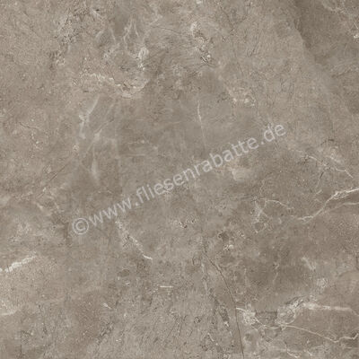 Ariostea Twin.s Dove 60x60 cm Bodenfliese / Wandfliese Matt Strukturiert Naturale P6698R10 | 487796