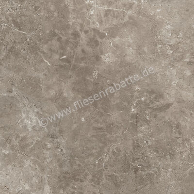 Ariostea Twin.s Dove 60x60 cm Bodenfliese / Wandfliese Matt Strukturiert Soft P6698 | 487799
