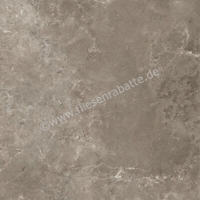 Ariostea Twin.s Dove 60x60 cm Bodenfliese / Wandfliese Matt Strukturiert Soft P6698 | 487802