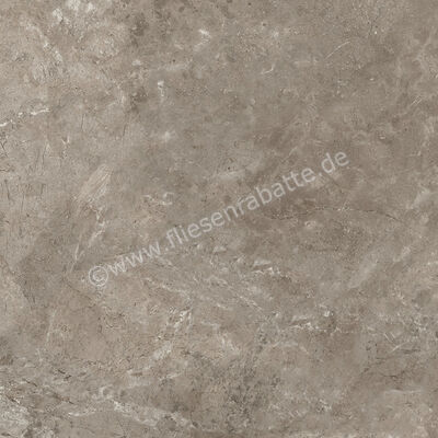 Ariostea Twin.s Dove 60x60 cm Bodenfliese / Wandfliese Matt Strukturiert Soft P6698 | 487805
