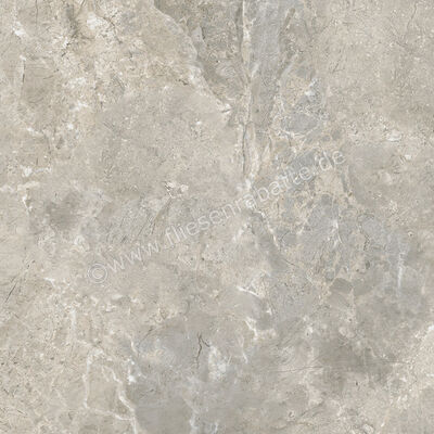 Ariostea Twin.s Steam 60x60 cm Bodenfliese / Wandfliese Matt Strukturiert Soft P6699 | 487841