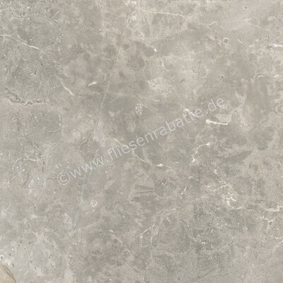 Ariostea Twin.s Steam 60x60 cm Bodenfliese / Wandfliese Matt Strukturiert Soft P6699 | 487847