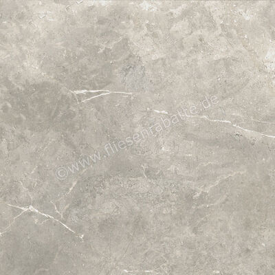 Ariostea Twin.s Steam 60x60 cm Bodenfliese / Wandfliese Matt Strukturiert Soft P6699 | 487850