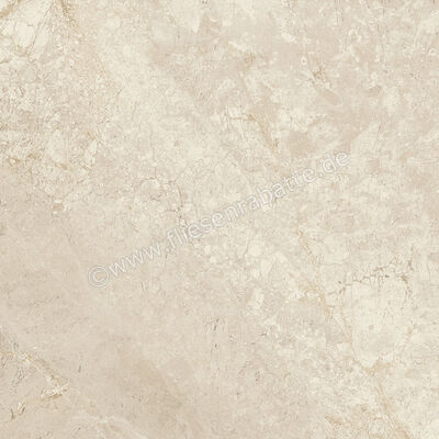 Ariostea Twin.s Anise 60x60 cm Bodenfliese / Wandfliese Matt Strukturiert Naturale P6700R10 | 487883