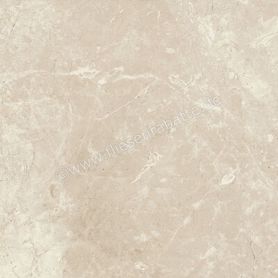 Ariostea Twin.s Anise 60x60 cm Bodenfliese / Wandfliese Matt Strukturiert Naturale P6700R10 | 487886