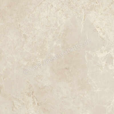 Ariostea Twin.s Anise 60x60 cm Bodenfliese / Wandfliese Matt Strukturiert Naturale P6700R10 | 487892