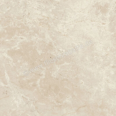 Ariostea Twin.s Anise 60x60 cm Bodenfliese / Wandfliese Matt Strukturiert Naturale P6700R10 | 487895