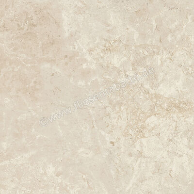 Ariostea Twin.s Anise 60x60 cm Bodenfliese / Wandfliese Matt Strukturiert Naturale P6700R10 | 487904
