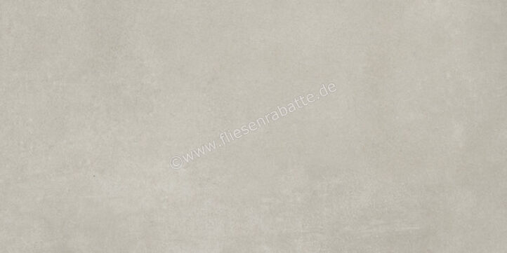 Ariostea Next Grey 30x60 cm Bodenfliese / Wandfliese Matt Eben Natural Plus P36633 | 488210
