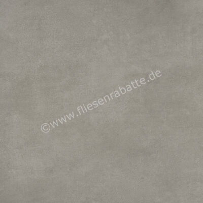 Ariostea Next Crete 60x60 cm Bodenfliese / Wandfliese Matt Eben Natural Plus P6630 | 488363