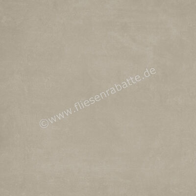 Ariostea Next Greige 60x60 cm Bodenfliese / Wandfliese Matt Eben Natural Plus P6632 | 488399